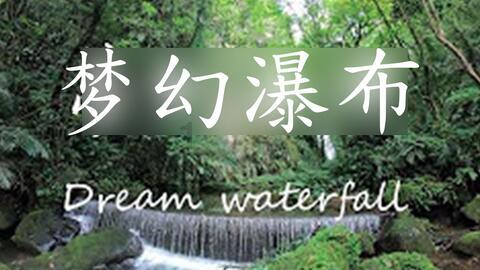 杨丞琳用狗跟李荣浩对比,李荣浩:你到底从哪找这么多狗